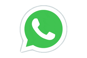 whatsapp (1)